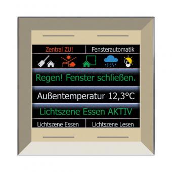 Glas-Farbdisplay 2,8-Zoll, schmaler Rahmen, champagner, 4 Tasten, integr. TS 