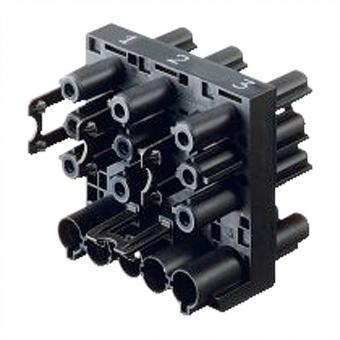 Wieland Verteilerblock 1E/1+6A 