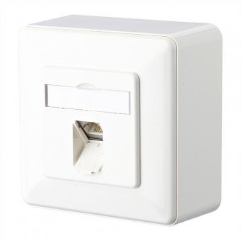 E-DAT C6 Prise, 1 port, apparent (AP), blanc pur 