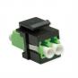 morepic-1