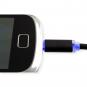 morepic-6