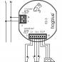 morepic-6