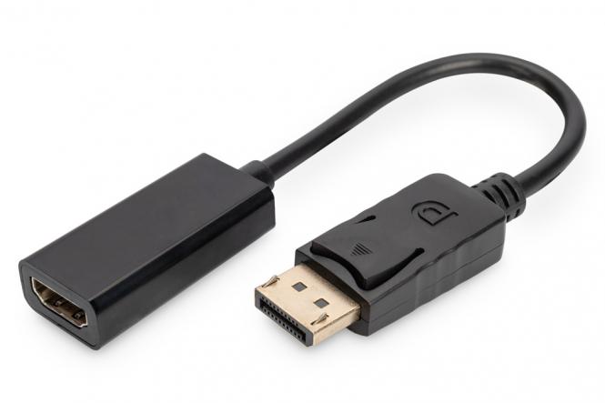 DisplayPort Adapter / Konverter 