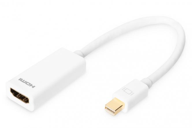 DisplayPort Adapter / Konverter 