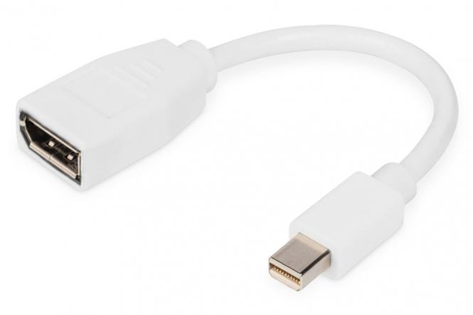 DisplayPort Adapterkabel, mini DP - DP 