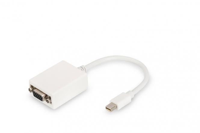 DisplayPort Adapterkabel 