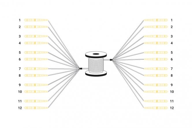 Vorkonfektionierte Glasfaser Universal Breakout Kabel, Multimode OS2, 12 Fasern, LC/UPC 