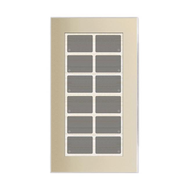 GT champagner mit 12 Tasten, 12 LEDs, Bargraph, integr. TS 