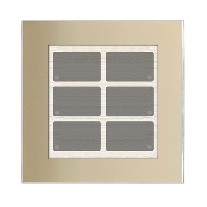 GT champagner mit 6 Tasten, 6 LEDs, integr. TS 