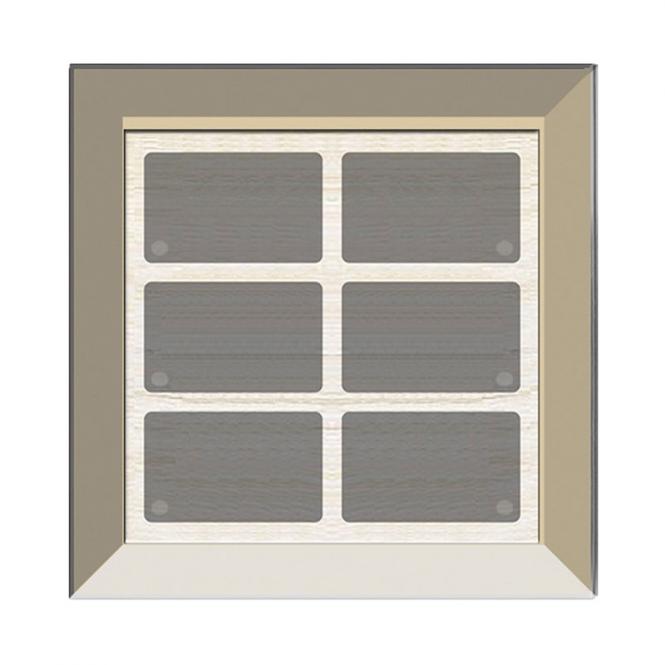 GT6 mit schmalem Rahmen, champagner, mit 6 Tasten, 6 LEDs, integr. TS 