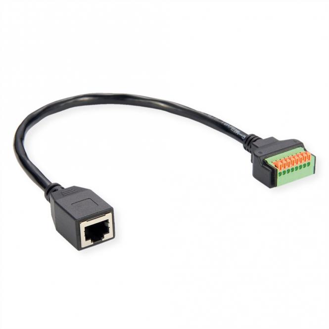 Câble adaptateur RJ45 femelle vers bloc terminal, 30cm 
