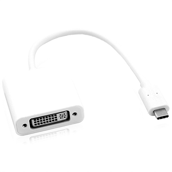 USB 3.1 Typ C zu DVI Adapter 
