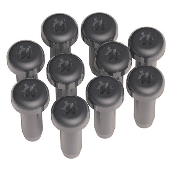 Torx T6 Schrauben, für Custom Module 