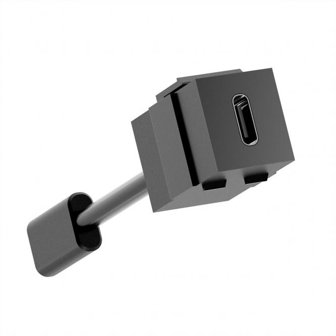 Keystone USB 3.2 Kupplung C/C PD 100W 