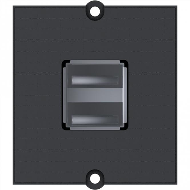 cadre 2xUSB A borne à vis 