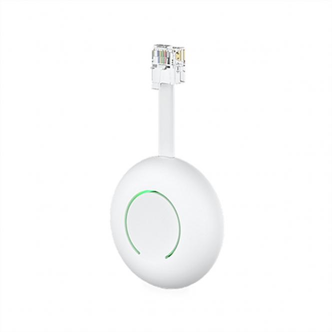 P1 Smart Dongle Home Wizard 