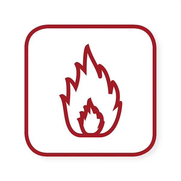 APP-Lizenz AI-Fire Früherkennung von Flammen 