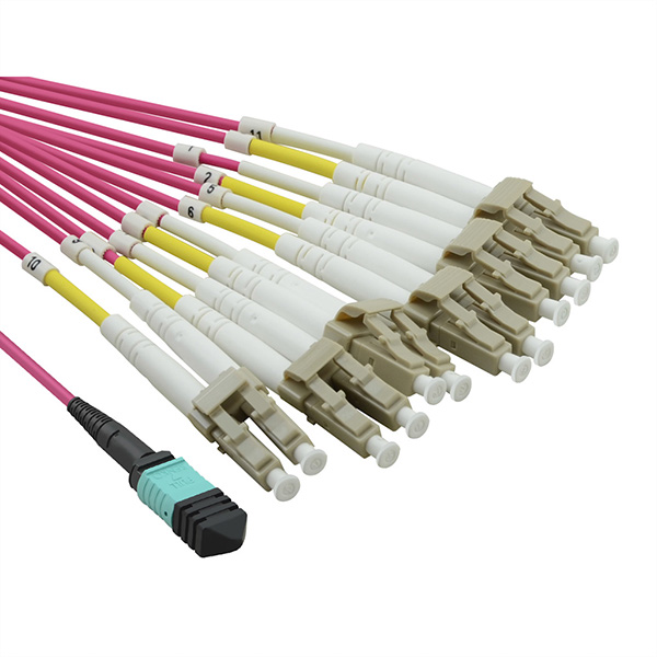 Câble MPO Fan-Out 50/125µm OM4, MPO / 12xLC, violet, 2m 