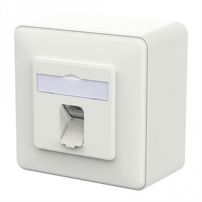 E-DAT C6A IDC Prise, 1 port, apparent (AP), blanc signalisation brillant 