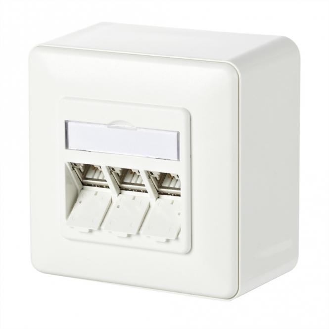 C6Amodul 3 ports 180° boîtier AP, blanc pur RAL9010 