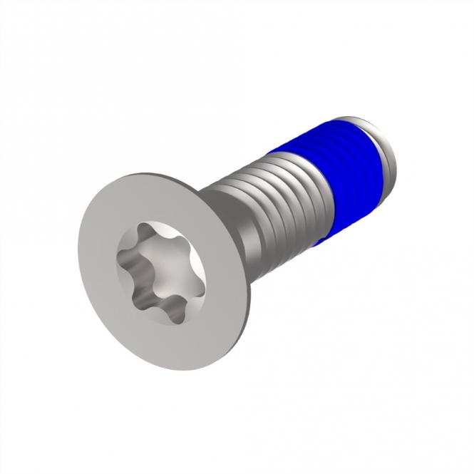 Senkkopfschrauben Torx M4x14mm, 100Stück 