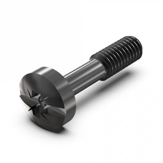 Vis à collerette de, cruciforme, M2.5 x 12.3mm, acier noir, 100 pièces 