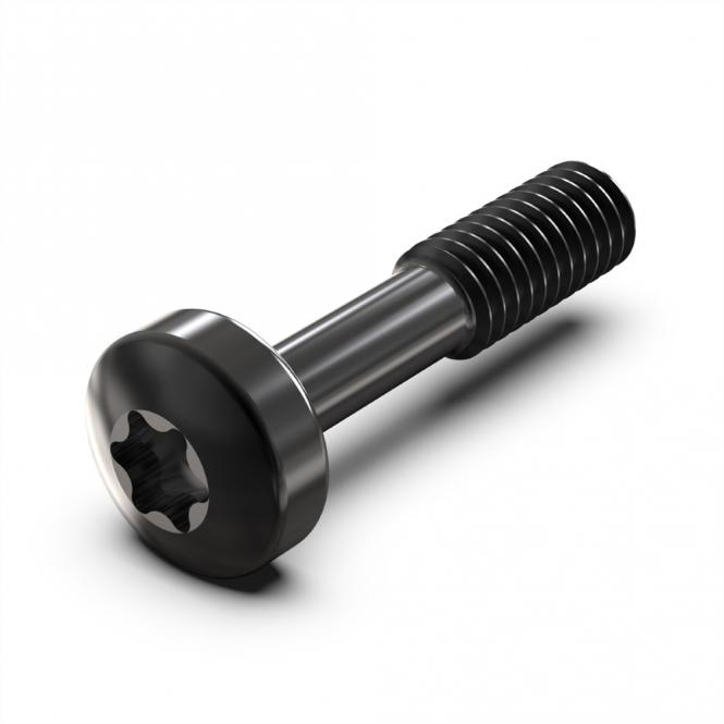 Vis à collerette de, Torx M2.5 x 12.3mm, acier noir, 100 pièces 