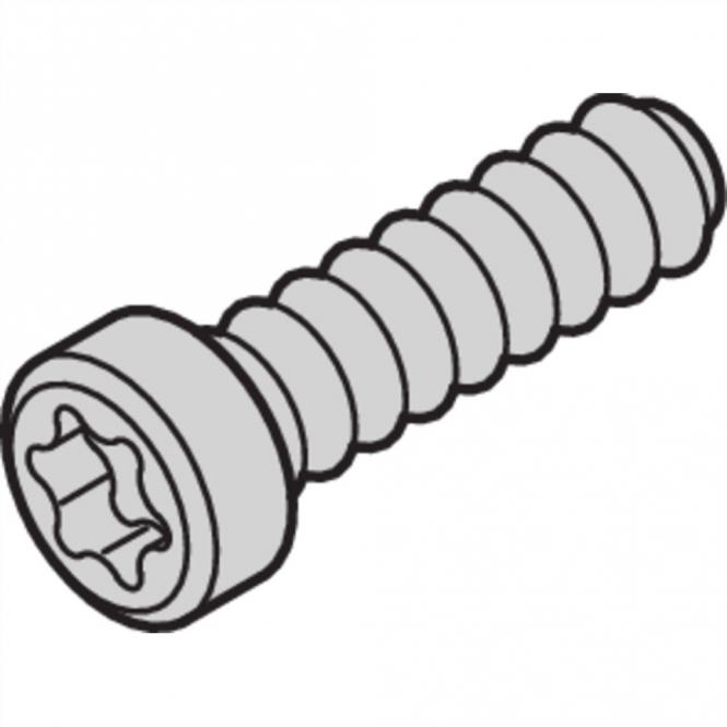 Linsenkopfschraube mit Torx, 100 Stck. 