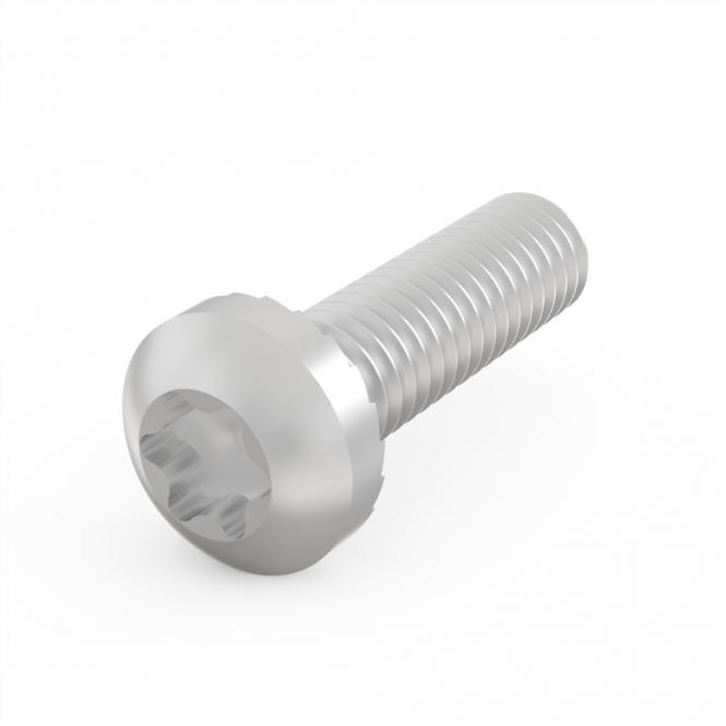 Vis à tête cylindrique de, Torx, M4 x 14, 100 pièces 