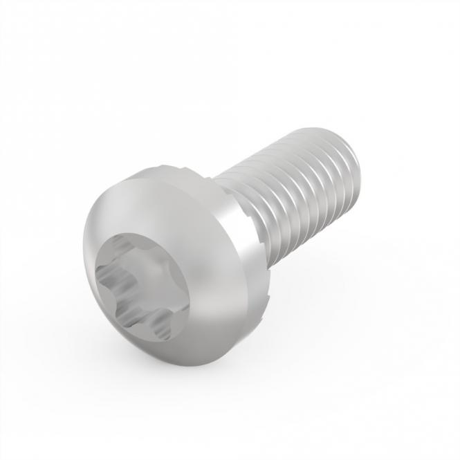 Vis à tête cylindrique de, Torx, M4 x 10, 100 pièces 