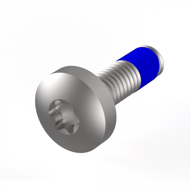 LIKOSCHR.TORX M4X14 (100ST) 