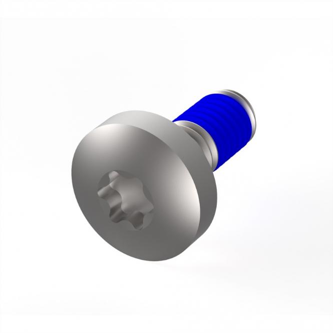 LIKOSCHR.TORX M4X10 (100ST) 